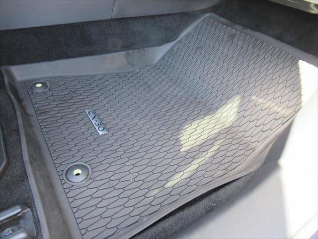 2024 Mazda Mazda CX-30 2.5 S Premium Package