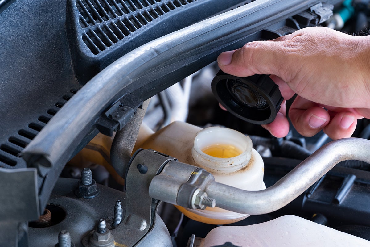 Transmission Fluid Exchange